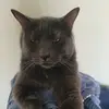 Magda - @magdawagner102 - TikTok