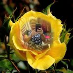 Magda Carpio - Facebook