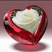 Magdalena Gilbert Perez - Facebook