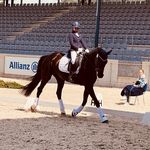 Magda Meier 🐴 - @magdalena_meier1304 - Instagram