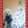 Magdalena Monreal - @magdalenamonreal0 - TikTok