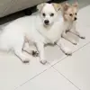 Magdalena Haryanti - @magdalena.haryant - TikTok