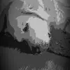 magdalenawolf  - @magdalena6370 - TikTok