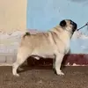Magdiel Perez - @magdiel.perez09 - TikTok
