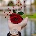 magdy Ibrahim - Facebook