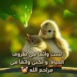 Maged Assad - @maged.assad.92 - Instagram