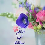 Maged Awad - @maged2854 - Instagram