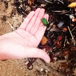 mada - @maggieabramsky - Instagram