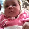 maggieabrams@gmail.com - @maggieabrams - TikTok