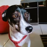 maggie - @_maggieabreu_ - Instagram