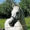 Maggie - @maggieackermann82 - TikTok