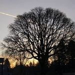 Maggie Alexander - @maggiealexander7981 - Instagram