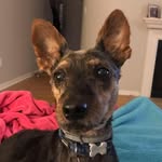 Maggie Alger Nagy - @maggiealgernagy - Instagram