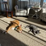 Maggie May and Asher John - @maggie_asher_ - Instagram