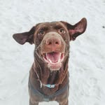 Barron & Maggie - @barron_maggie_thelabs - Instagram