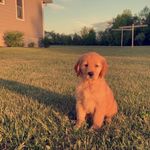 Maggie Bates - @maggiebates18 - Instagram