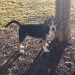 Maggie Beasley - @_maggie.beasley - Instagram