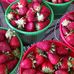 Maggie Valley Berry Patch and Gardens - Facebook