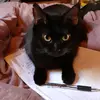 Maggie Bettis - @kerrinkitty22 - TikTok