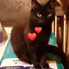 Maggie Bettis - @maggie.bettis - TikTok