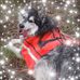 Maggie Bonham - Facebook