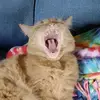 Maggie Booth - @magsboof - TikTok