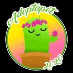 Maggie Booth - @adoptapot - Instagram