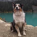 Maggie and Layla - @maggiewithoutborders - Instagram