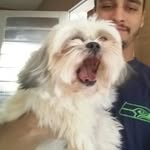 Maggie - @maggie.borges17 - Instagram