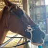 Maggie - @maggiereborg - TikTok