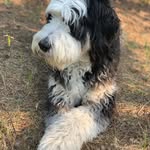Maggie🤍 - @maggie_bouchard3 - Instagram