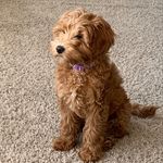 Maggie Boyce - @maggiemay18 - Instagram