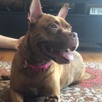 Maggie Moo Boyce - @maggiemooboyce - Instagram