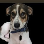 Maggie Braganza - @braggiemaggie - Instagram