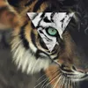 maggiebragg123 - @maggiebragg123 - TikTok