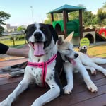 Maggie e Brian - @maggieebrian - Instagram
