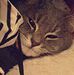 Maggie Brophy - Facebook