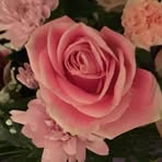 Maggie Buck - Facebook