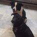 Maggie Buck - Facebook
