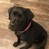 Maggie Buckley - @maggie.buckley7 - TikTok