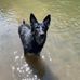 Maggie Burrows - Facebook