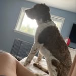 @maggieburrowsofficial - Instagram