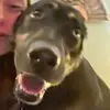 ✝️🐕‍🦺🐇Maggie🐇🐕‍🦺✝️ - @maggiebutts_ - TikTok