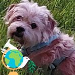 Maggie Calbert - Facebook