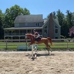Maggie Cameron - @mkc.eq - Instagram