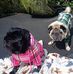 Maggie Cameron - Facebook