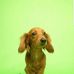 Maggie Cameron - Facebook