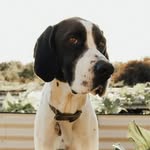 Maggie - @maggie_campoutwest - Instagram