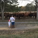 Maggie Cantrell - @raising_and_grazing - Instagram