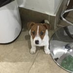 Maggie Carney - @maggie_carney44 - Instagram